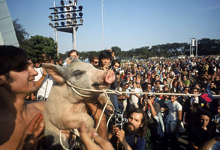 pigasus for president chicago 1968