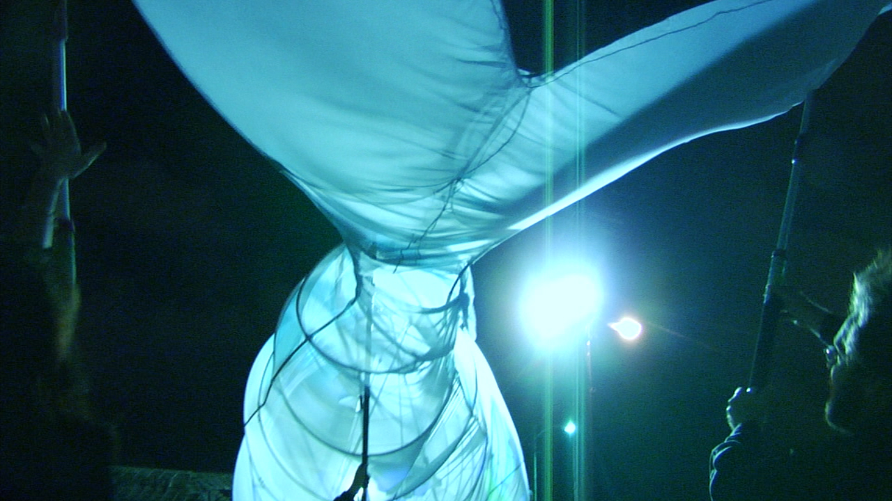 Opera-Matic's New Moon on the Lagoon